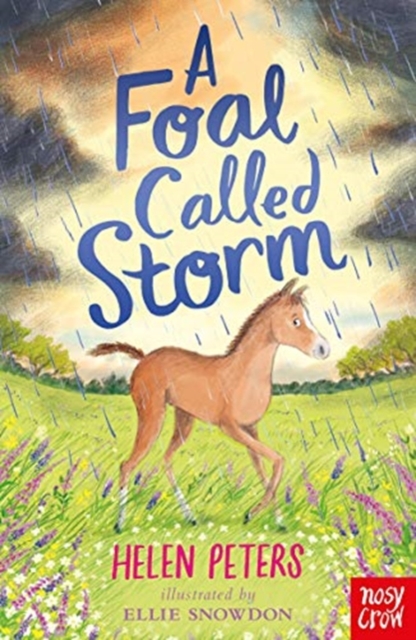 Foal Called Storm - Helen Peters