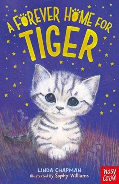Forever Home for Tiger - Linda Chapman