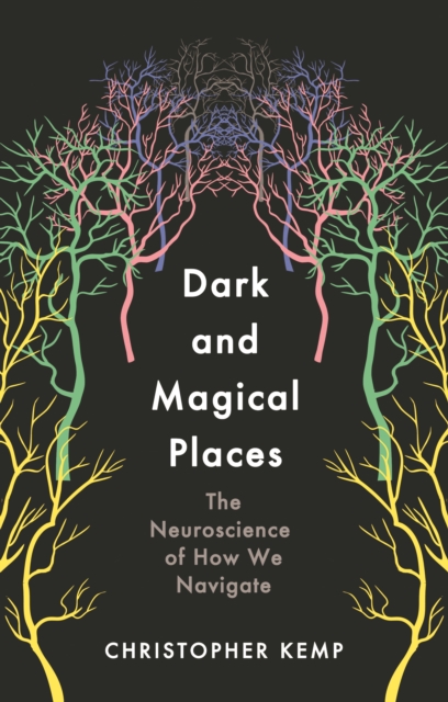 Dark and Magical Places - Christopher Kemp