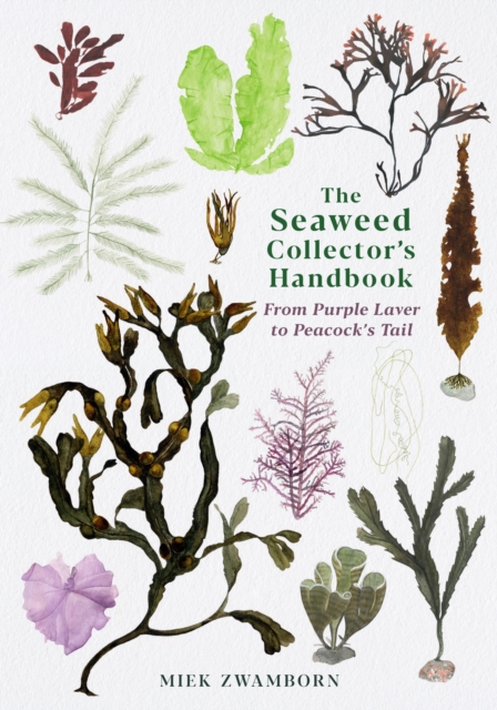 Seaweed Collector's Handbook - Miek Zwamborn