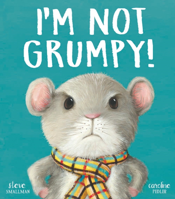 I?m Not Grumpy! - Steve Smallman