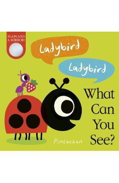 Poza produsului Ladybird! Ladybird! What Can You See? - Amelia Hepworth
