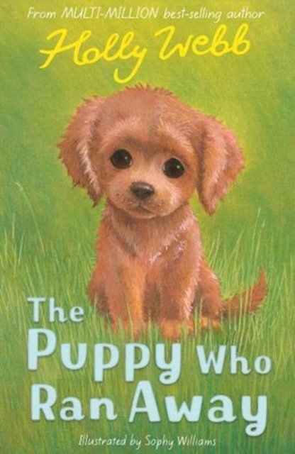 The Puppy Who Ran Away - Holly Webb