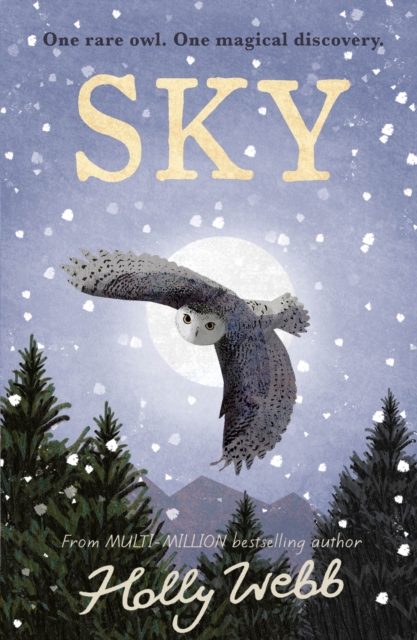 Sky - Holly Webb