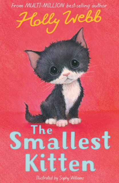 The Smallest Kitten - Holly Webb