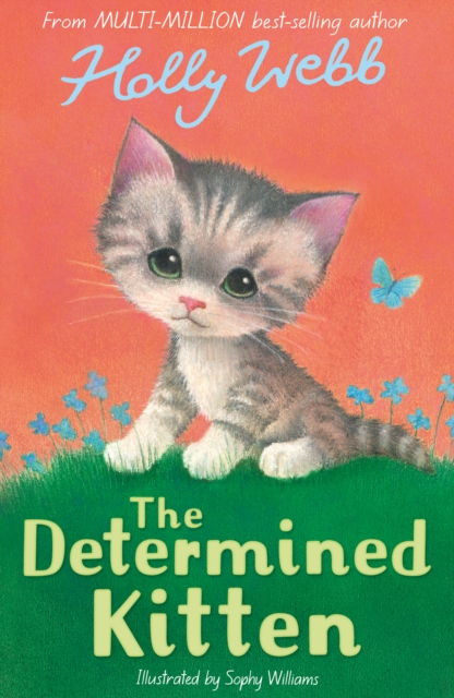 The Determined Kitten - Holly Webb