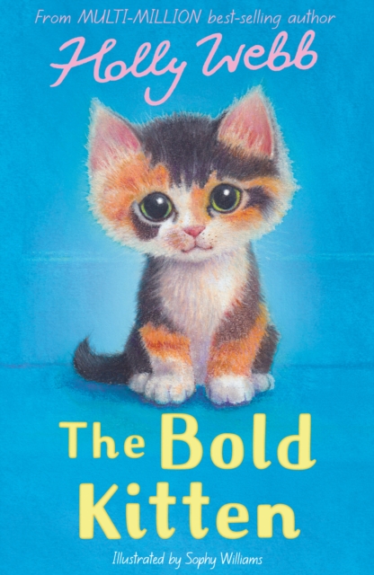 Bold Kitten - Holly Webb