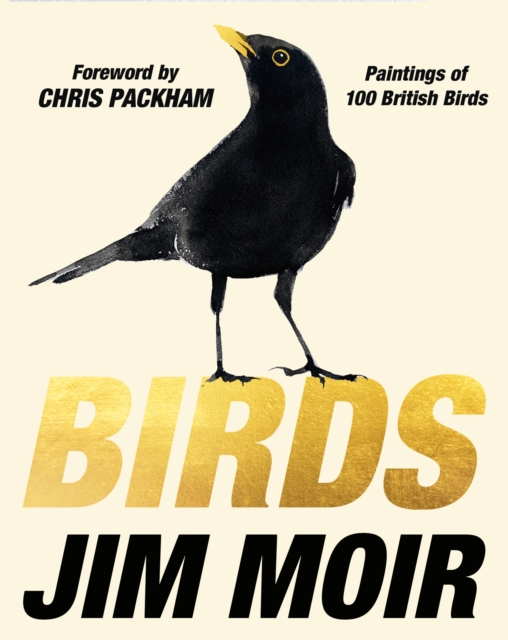 Birds - Jim Moir