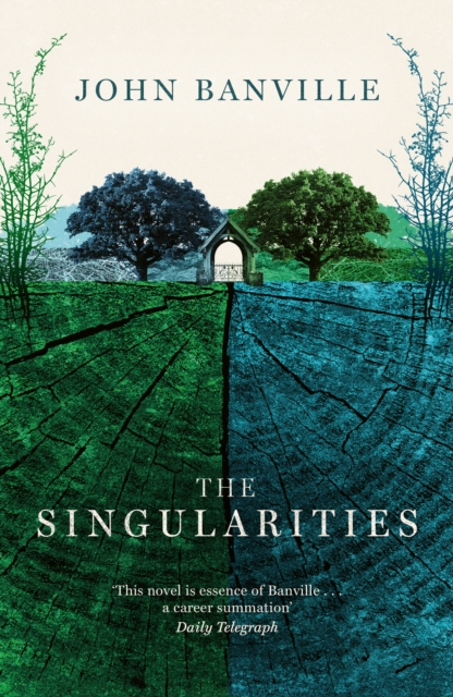 Singularities - John Banville