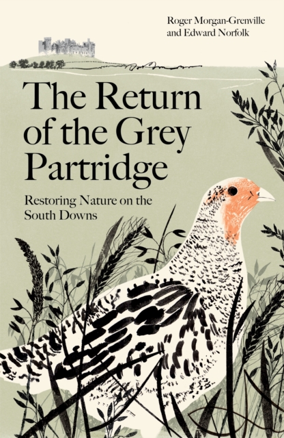 Return of the Grey Partridge - Roger|norfolk Morgan-grenville