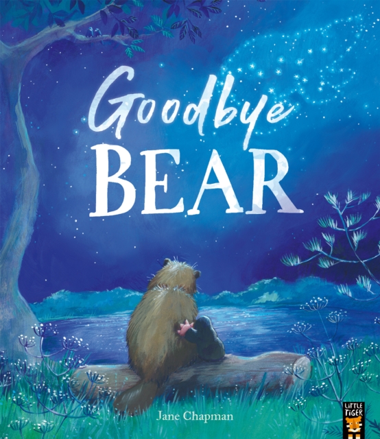 Goodbye Bear - Jane Chapman