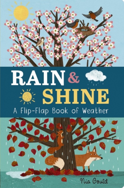 Rain & Shine: A Flip-Flap Book of Weather - Molly Littleboy