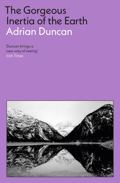 Gorgeous Inertia of the Earth - Adrian Duncan