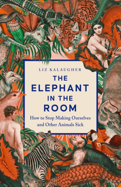 Elephant in the Room - Liz Kalaugher