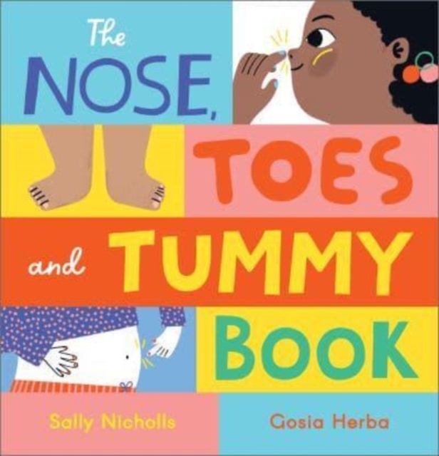 Nose, Toes and Tummy Book - Sally Nicholls