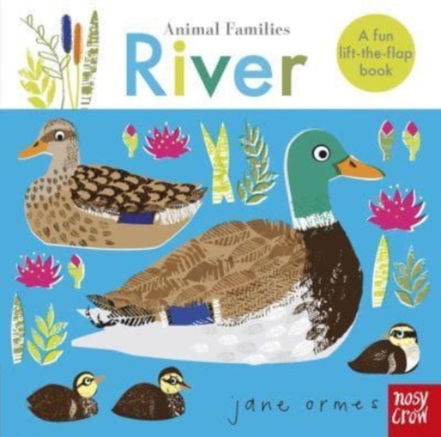 Animal Families: River - 