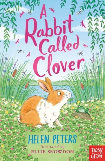 Rabbit Called Clover - Helen Peters