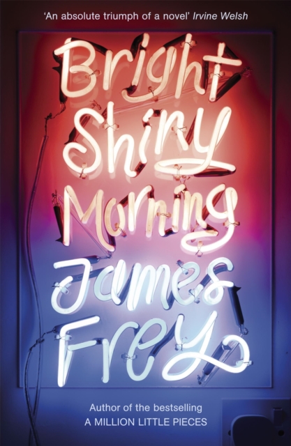 Bright Shiny Morning - James Frey