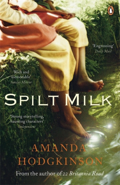 Spilt Milk - Amanda Hodgkinson