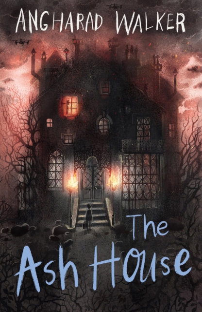 Ash House - Angharad Walker