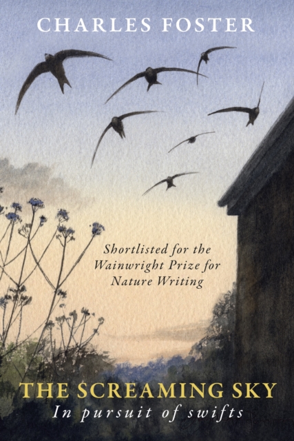 Screaming Sky - Charles Foster