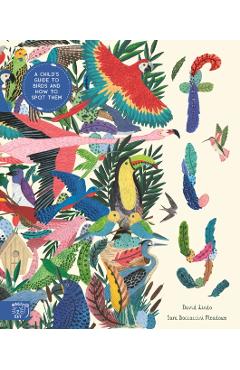Coperta cărții 'Fly: Shortlisted for the Wainwright Prize for Children's Nature and Conservation Writing 2024 - David Lindo'