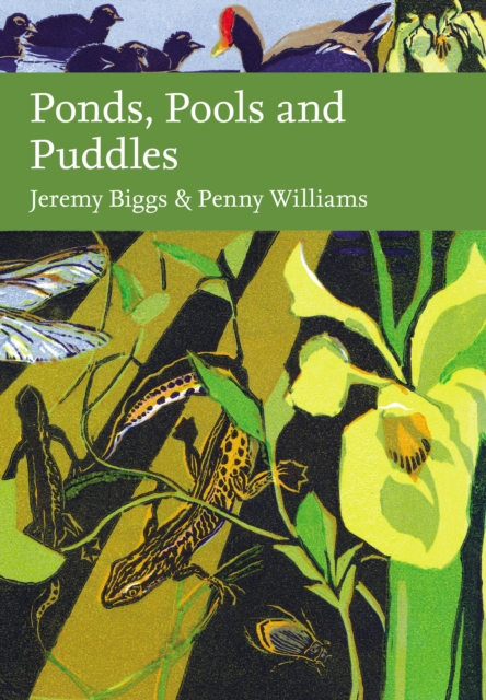 Ponds, Pools and Puddles - Jeremy|williams Biggs