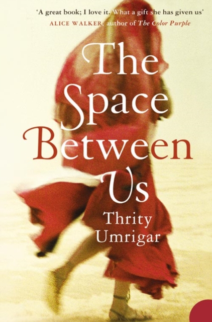 Space Between Us - Thrity Umrigar