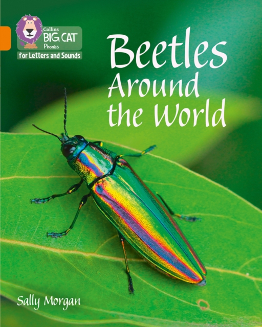 Beetles Around the World - Sally Morgan