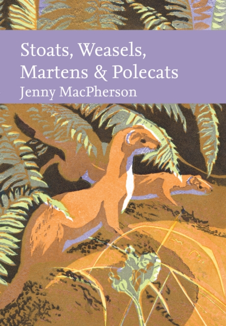 Stoats, Weasels, Martens and Polecats - Jenny Macpherson