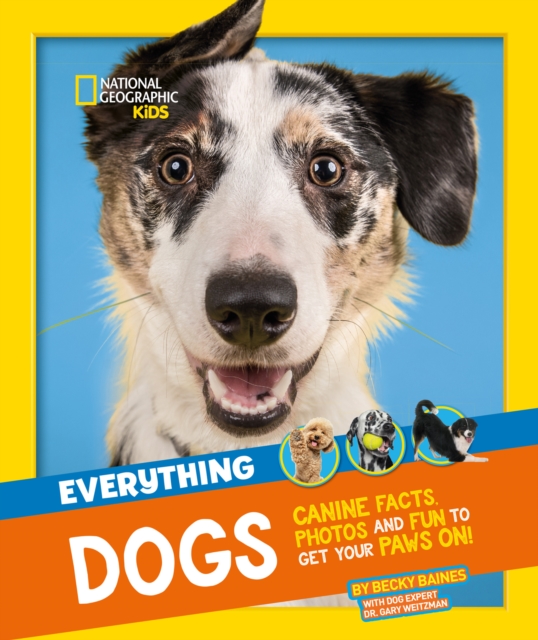 Everything: Dogs - 