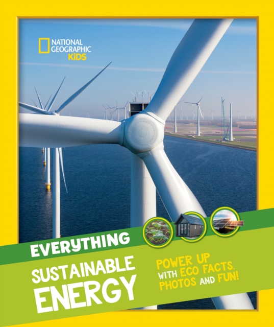 Everything: Sustainable Energy - 