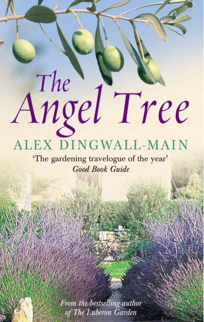 Angel Tree - Alex Dingwall-main