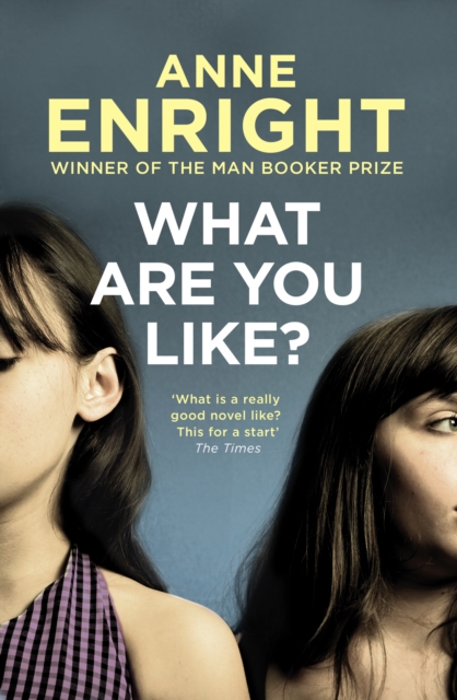 What Are You Like - Anne Enright