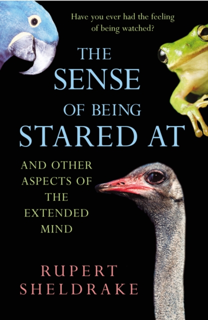 Sense Of Being Stared At - Rupert Sheldrake