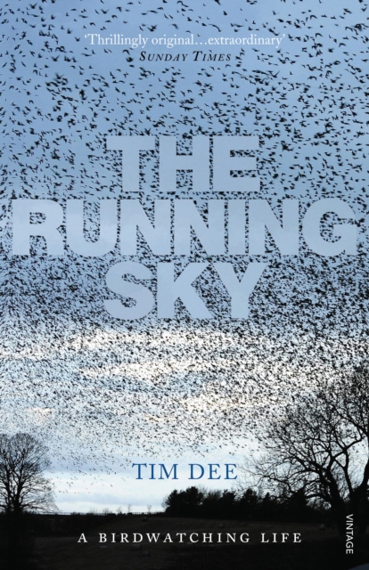 Running Sky - Tim Dee