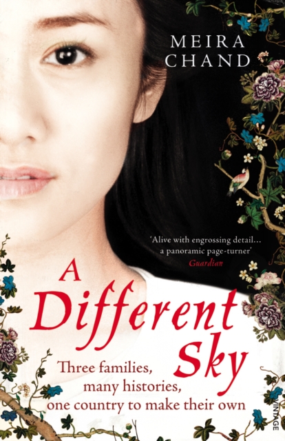 Different Sky - Meira Chand
