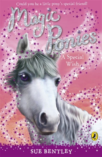 Magic Ponies: A Special Wish - Sue Bentley