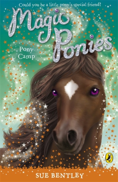 Magic Ponies: Pony Camp - Sue Bentley