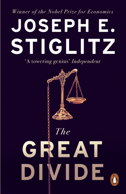 Great Divide - Joseph E. Stiglitz