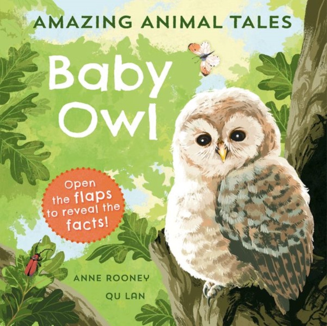 Amazing Animal Tales: Baby Owl - Anne Rooney