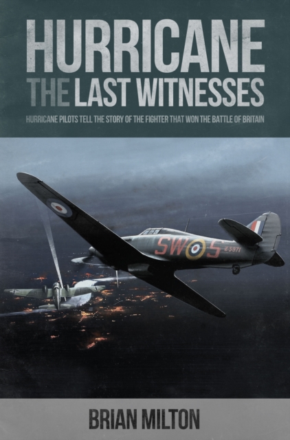 Last Witnesses: Hurricane - Brian Milton