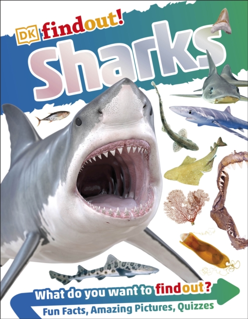 DKfindout! Sharks - 