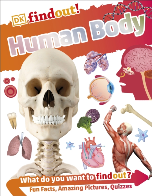 DKfindout! Human Body - 