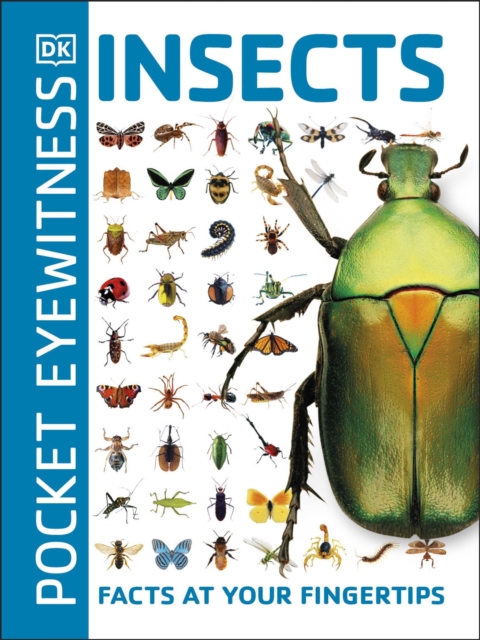 Pocket Eyewitness Insects - 