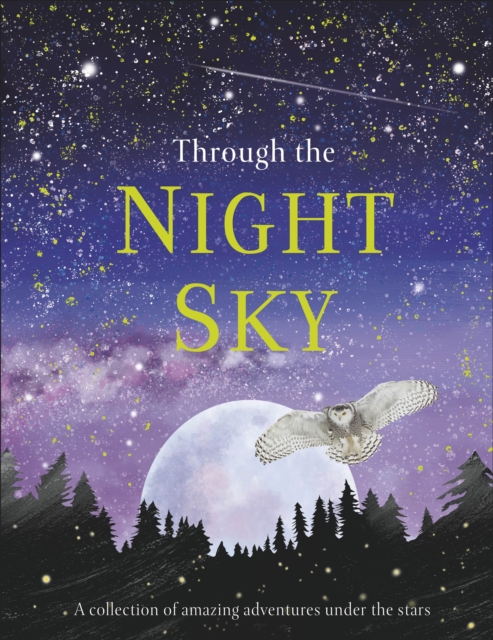 Through the Night Sky - 