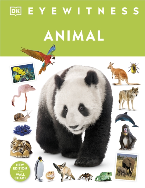 Animal - 