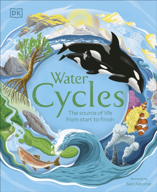 Water Cycles - 