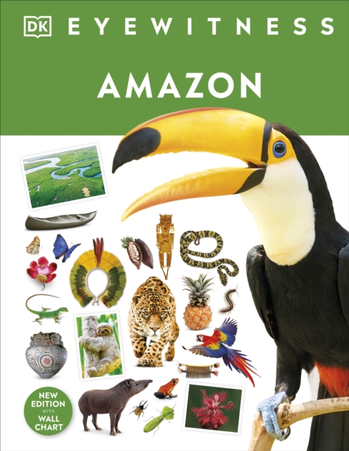 Amazon - 