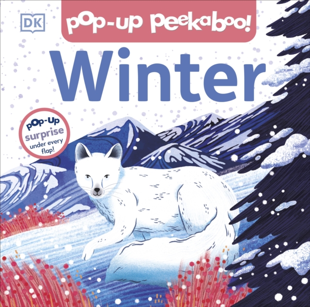 Pop-up Peekaboo! Winter - 